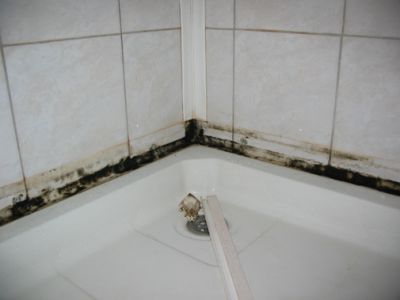 грибок и плесень в ванной