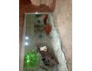 сухой аквариум в полу