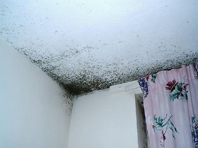 mould-growth-1-condensation-treatments-(page-picture-large)