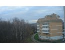 Куркино