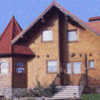 ikoola88
